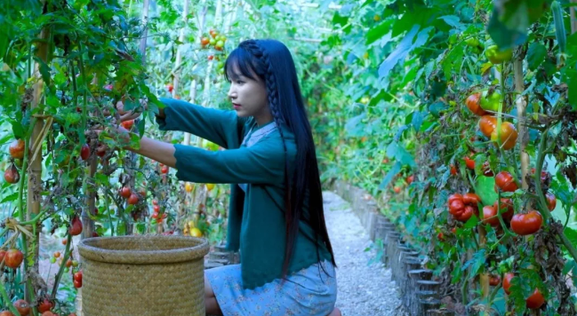 李子柒的菜园里，藏着2000万人向往的田园生活