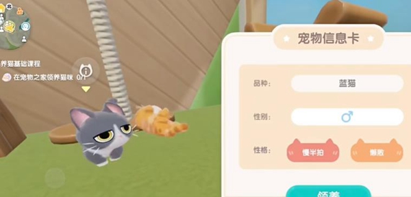《心动小镇》怎么领养猫 领养猫方法介绍