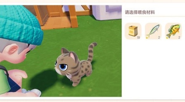 《心动小镇》怎么领养猫 领养猫方法介绍