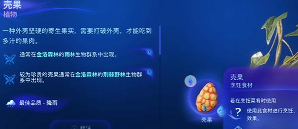 《阿凡达潘多拉边境》一餐饭一段记忆全流程完成攻略