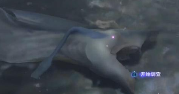 《阿凡达潘多拉边境》夺命狩猎支线任务全流程完成攻略