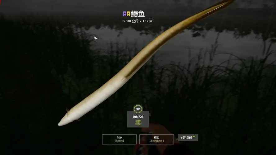 《俄罗斯钓鱼4》挪威海jig攻略
