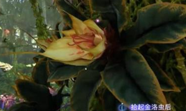 《阿凡达潘多拉边境》一路顺风第一部分全流程完成攻略