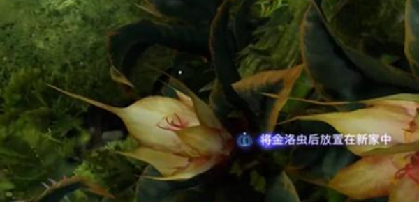 《阿凡达潘多拉边境》一路顺风第一部分全流程完成攻略