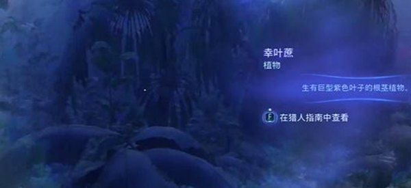 《阿凡达潘多拉边境》实地考察支线任务最佳完成攻略一览