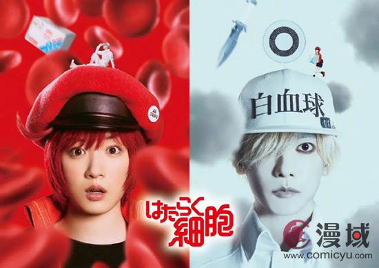 真人版《工作细胞》追加新细胞 染谷将太等加盟！