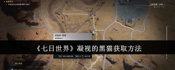 《七日世界》凝视的黑猫怎么获得 凝视的黑猫获取方法