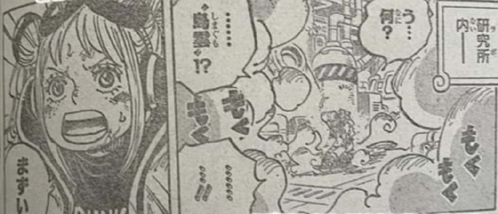海贼王1125话：路奇杀斯图西，约克投靠加林圣，释迦求助哈雷达斯