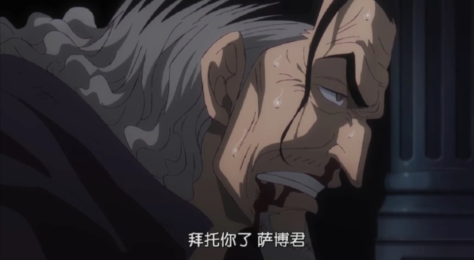 海贼王1126话，藤虎“反叛”世界政府，萨博重伤，薇薇瓦波尔私奔