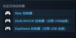 《停车场拉力巡回赛》支持语言一览