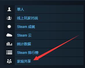 《停车场拉力巡回赛》支持语言一览