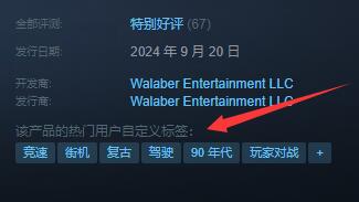 《停车场拉力巡回赛》游戏类型介绍