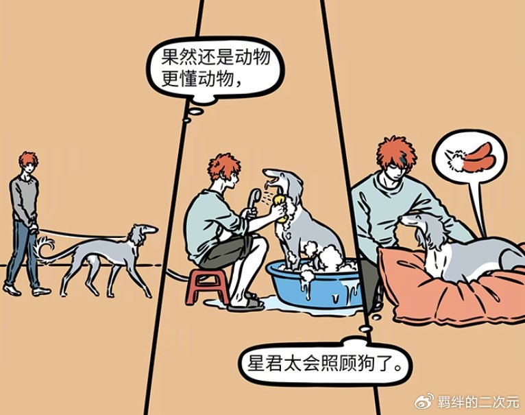 非人哉哮天给别人当宠物，回家却发现杨戬负债累累，全是自己的错