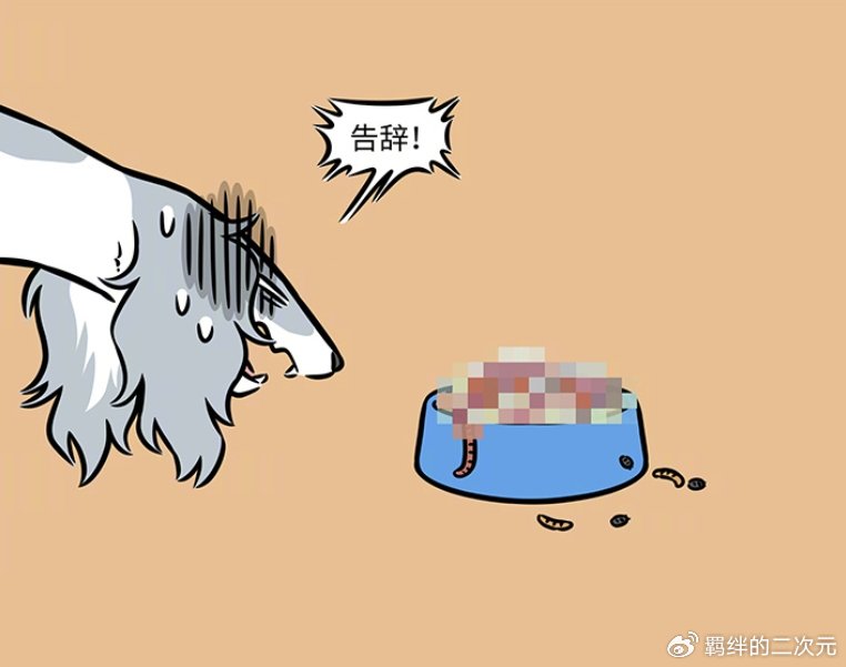 非人哉哮天逃离财神家，求昴日星君收养，被照顾很好，因狗粮回家