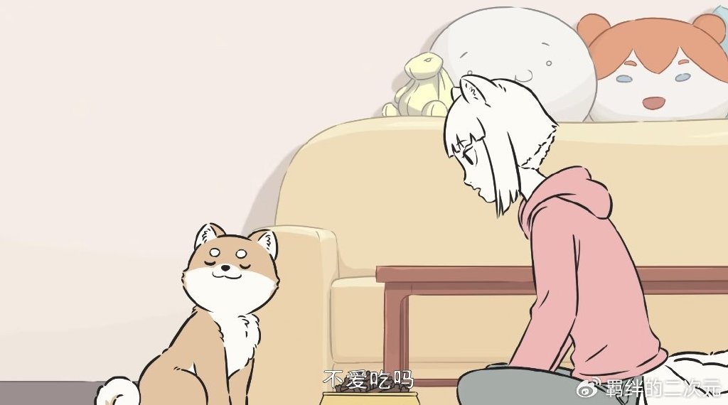 非人哉：九月帮白泽收养柴犬，结果却发现是十一月，当场赶出家门