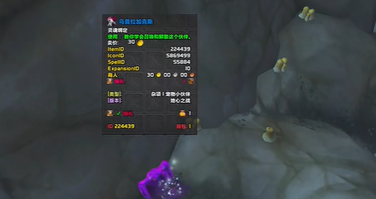 《魔兽世界》全宠物获得方法介绍