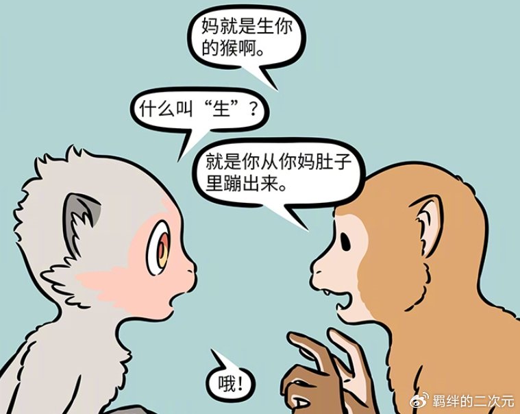 非人哉：猴哥融入花果山猴群，介绍自己的妈妈，却让猴群懵圈了