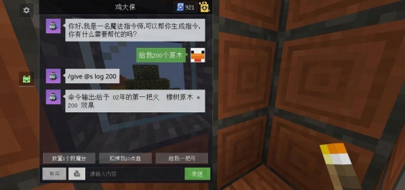 《我的世界》魔法指令介绍