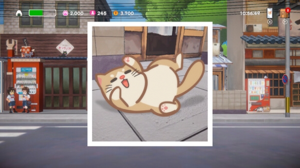 《美希与猫之岛》特色玩法内容