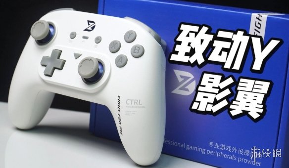 《流放之路2》游玩手柄推荐