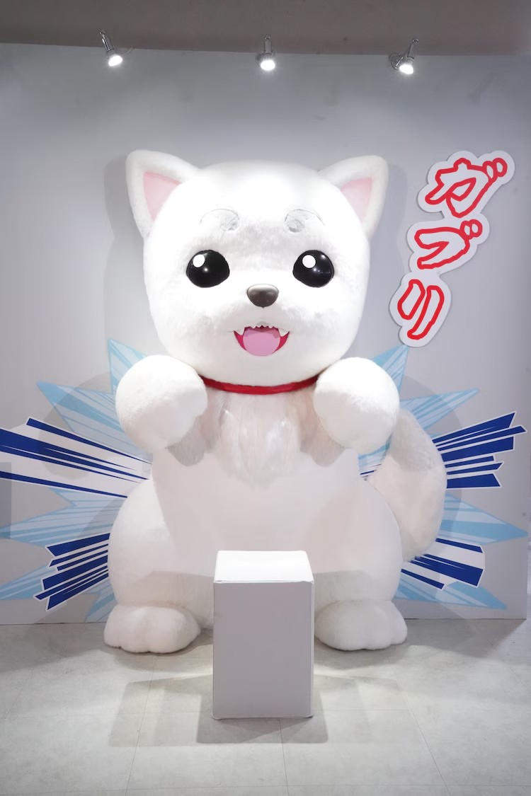 《银魂》20周年纪念展