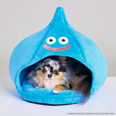 《DRAGON QUEST PETs》品牌标志公开