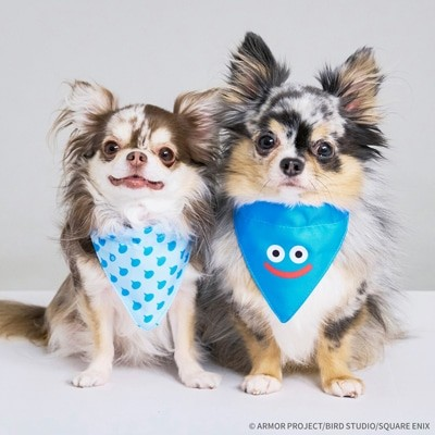 《DRAGON QUEST PETs》品牌标志公开
