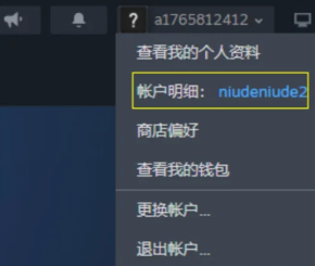 《双影奇境》支不支持家庭共享