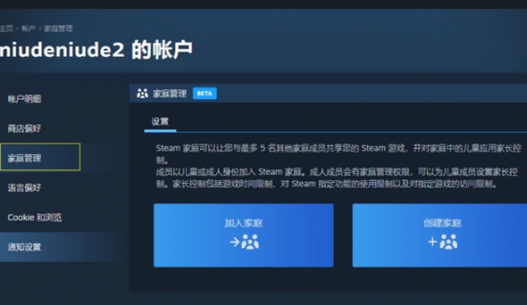 《双影奇境》支不支持家庭共享