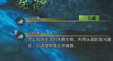 《怪物猎人荒野》闪灯鱼位置介绍