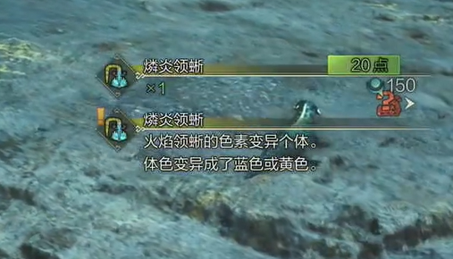 《怪物猎人荒野》燐炎领蜥位置介绍