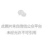 【终极情报】最全情报大公开！现场活动一览/嘉宾签售/积分活动点位全标注！