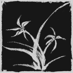 《诡拓》全成就一览