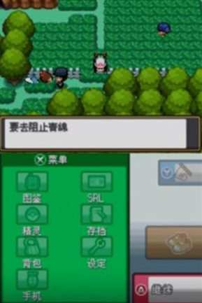 《口袋妖怪》起源心金2.41金手指代码大全