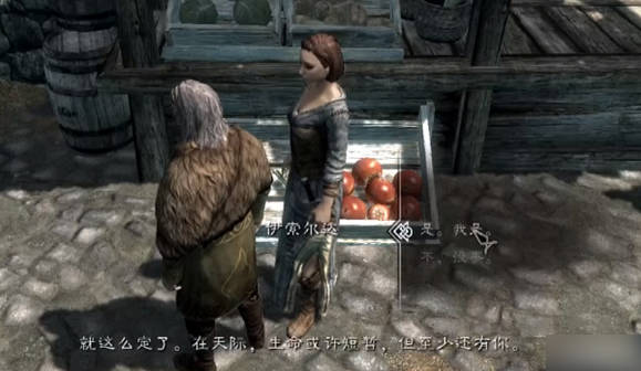 《上古卷轴5》结婚方法介绍