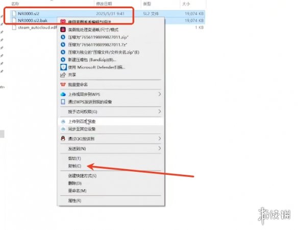 《艾尔登法环黑夜君临》存档替换介绍